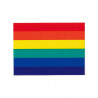 Rainbow Pride Aufkleber / Sticker 5,0 x 7,6cm / 2 x 3 inch (T1042)