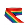 Rainbow Ribbon 3/8inch / 10mm wide 10m (T1532)