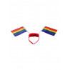 Rainbow Hair Bow w. Flags / Haarreif mit Flaggen (T6320)