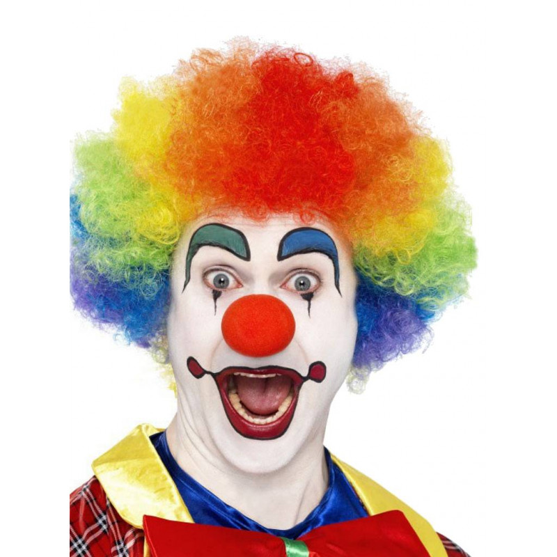 Rainbow Wig / Regenbogen Perücke (T6344)