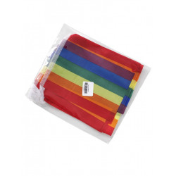 Rainbow Flag-Chain 14x21 cm 10 m (T6328)