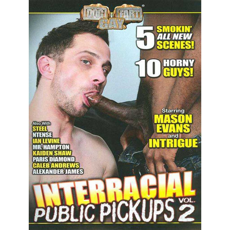 Interracial Public Pickups #2 DVD (Dog Fart Gay) (19102D) Interracial Public Pickups #2 DVD (Dog Fart Gay) (19102D)