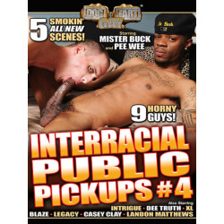 Interracial Public Pickups #4 DVD (Dog Fart Gay) (19104D)