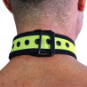 Rude Rider Neoprene Puppy Collar Yellow (T7265)