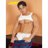 Hard to Hold DVD (Jocks / Falcon) (01172D)