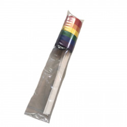 Rainbow Pride Paper Flag 10-pack (T8102)