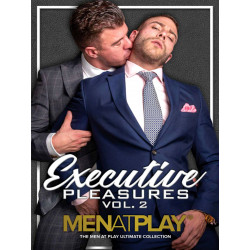 Executive Pleasures Vol. #2 DVD (Men At Play) (19139D)