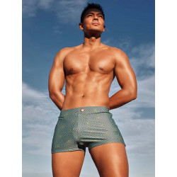 2Eros Print Bondi Bar Beach Swim Trunks Jade (T8752)