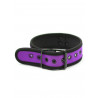 Rude Rider Neoprene Puppy Collar Purple (T7469)
