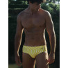 2Eros V40 Printed Swim Briefs Sunga Dolce Yellow (T9969)