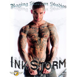 Ink Storm 2-DVD-Box (Raging Stallion) (03606D)