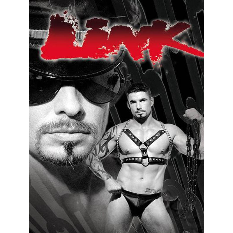 Link #1 DVD (All Worlds) (16205D)