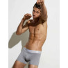 2Eros Classic Trunk Underwear Grey (T11204)