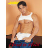 Hard to Hold DVD (Jocks / Falcon) (01172D)