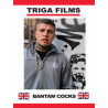 Bantam Cocks DVD (Triga) (23888D)