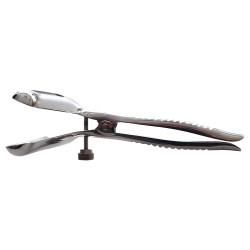Rouge Stainless Steel Anal Speculum (T11289)