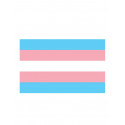 Trans Flag Aufkleber / Sticker 5.0 x 7,6 cm / 2 x 3 inch
