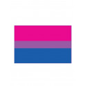 Bisexual Flag Aufkleber / Sticker 5.0 x 7,6 cm / 2 x 3 inch