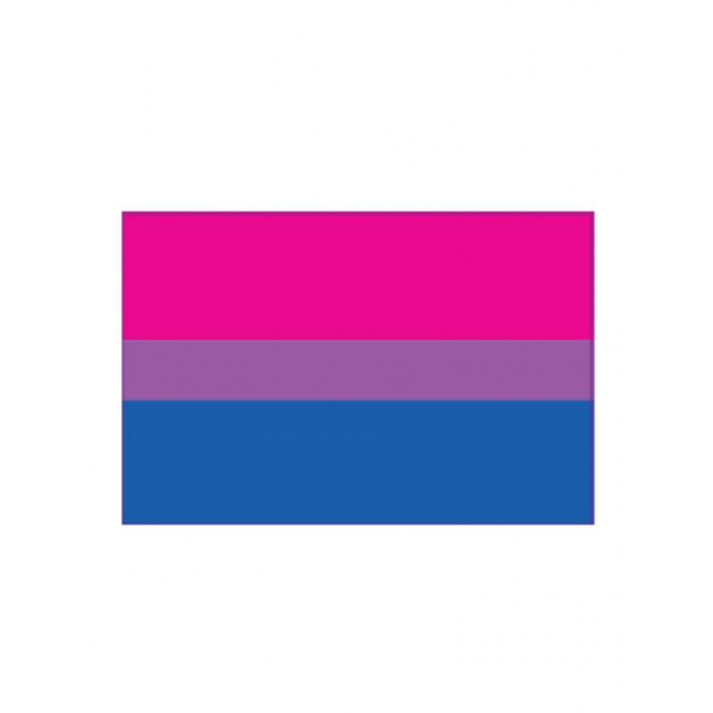Bisexual Flag Aufkleber / Sticker 5.0 x 7,6 cm / 2 x 3 inch (T4730)