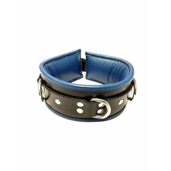 Rouge Leather 3 D-Ring Padded Collar Black/Blue (T11317)