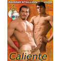 Caliente 2-DVD-Set (Raging Stallion)