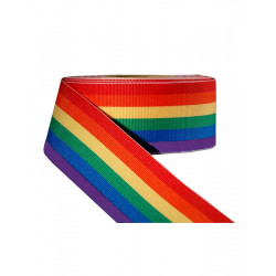 Rainbow Ribbon 1 1/2inch / 38mm wide 10m (T1535)