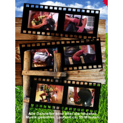 Lederhosenbuam #04 DVD (Lederhosenbuam) (02167D)