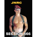 Section 666 DVD (JNRC)