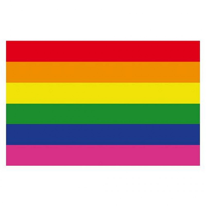 Rainbow Magnet Gay Pride flexible 4,5 x 7 cm (T0147)