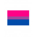 Bisexual Flag Magnet