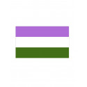 Gender Queer Flag Aufkleber / Sticker 5.0 x 7,6 cm / 2 x 3 inch