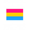 Pansexual Flag Aufkleber / Sticker 5 x 7.6 cm / 2 x 3 inch