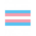 Trans Flag Aufkleber / Sticker 5.0 x 7,6 cm