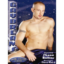 Gay Dreams DVD (Raging Stallion) (12171D)